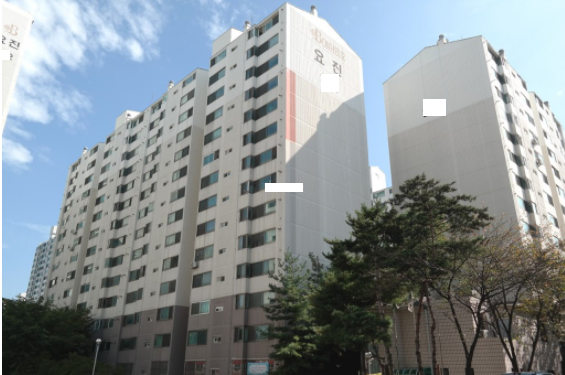 상록수 이미지