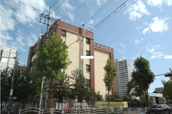 상록수 이미지