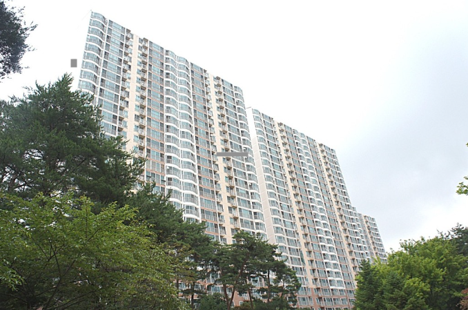 새터 이미지