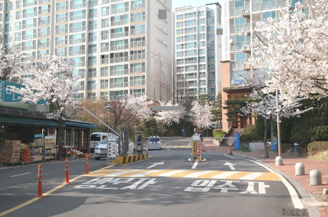 Daum카페