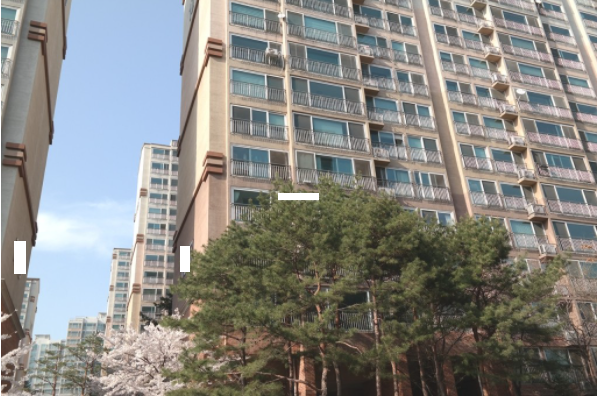 Daum카페