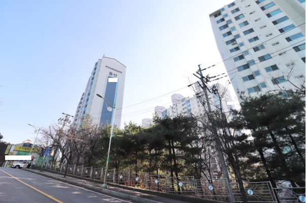 Daum카페
