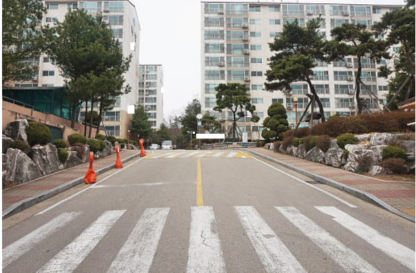 Daum카페