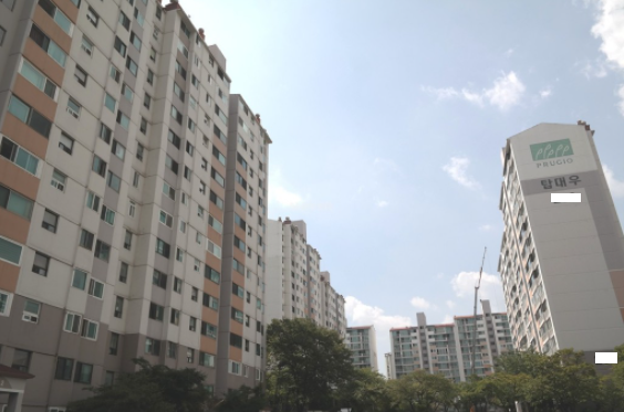 Daum카페