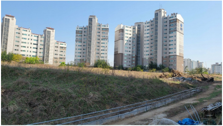 Daum카페