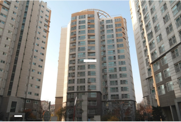 Daum카페