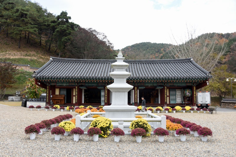 진악산 이미지