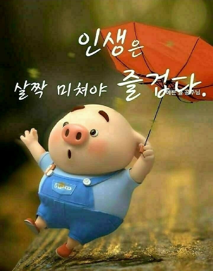 보아유 이미지