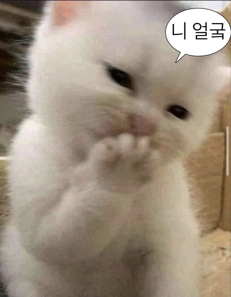 익싸이팅 이미지