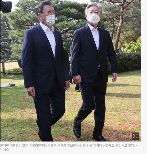 자자 이미지