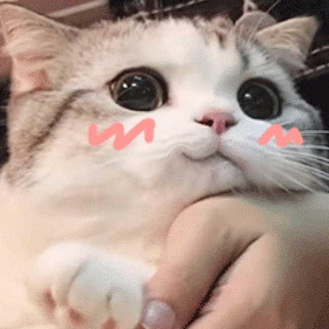 밍밍 이미지
