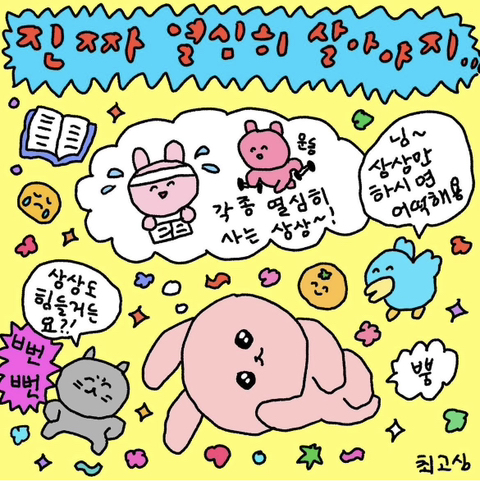 원더플 이미지