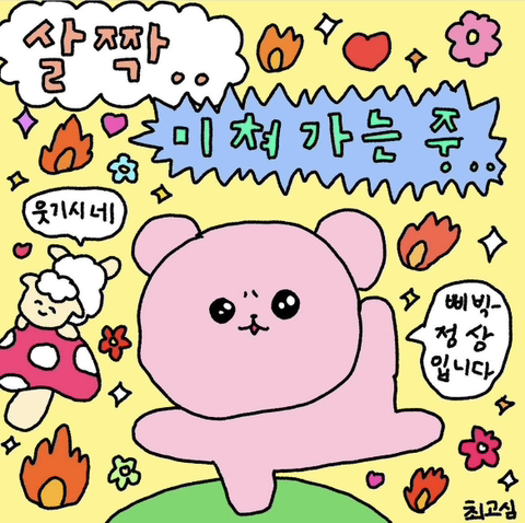 원더플 이미지