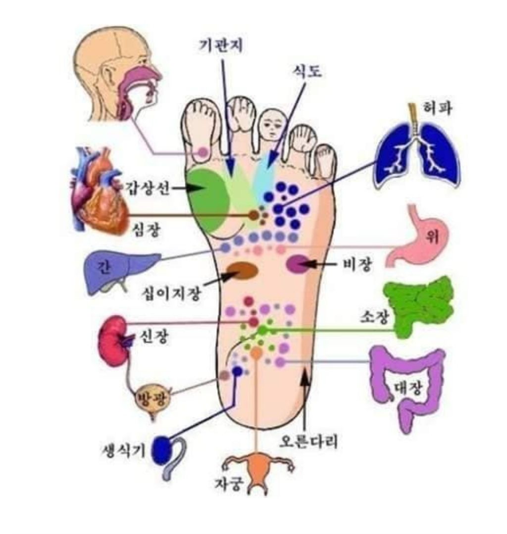 건강마사지 이미지