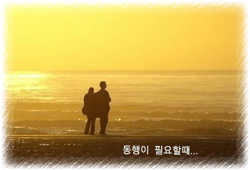 동행 이미지