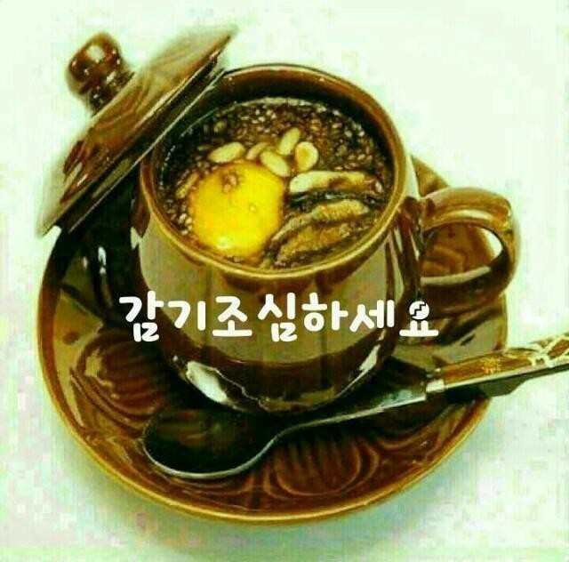 봄이 이미지