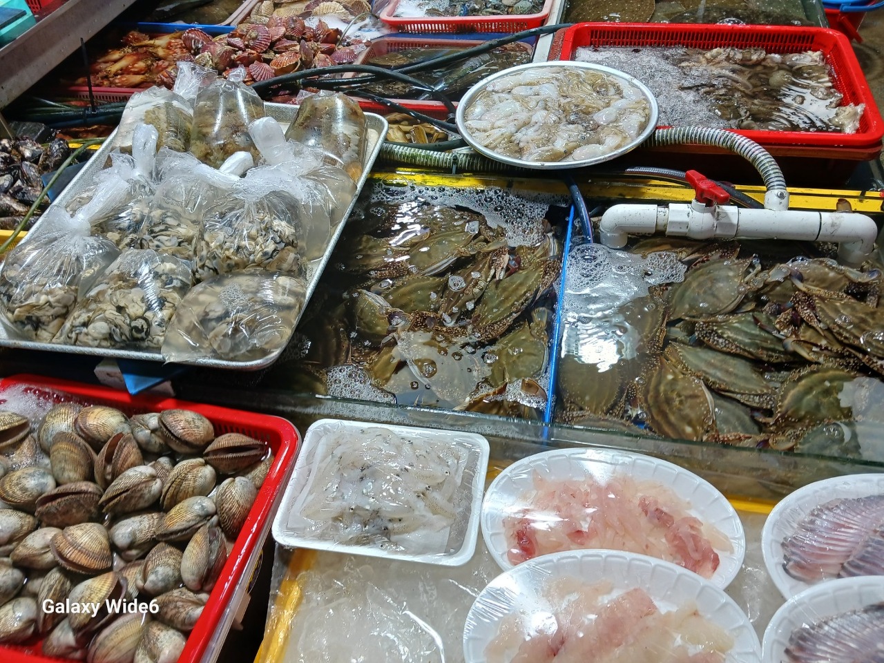 조개시장 이미지