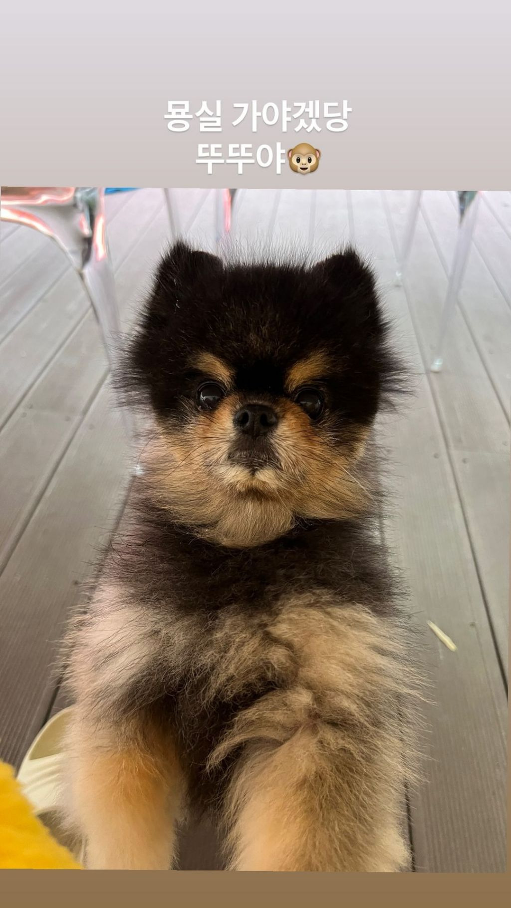 묭실 이미지