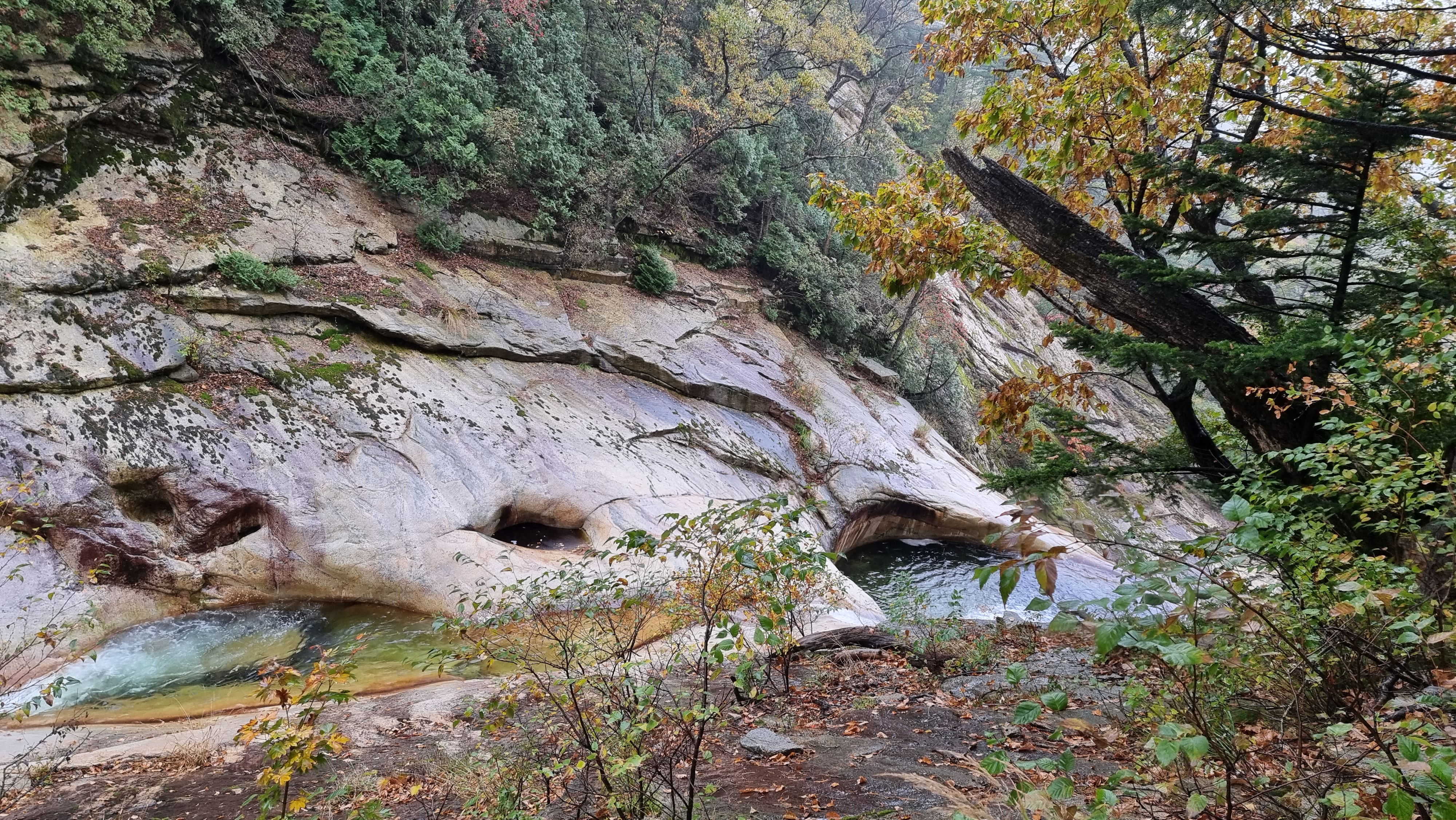 산마실 이미지