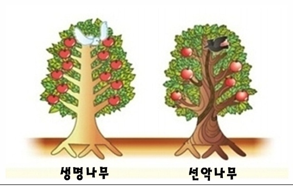 (주)생명나무 이미지