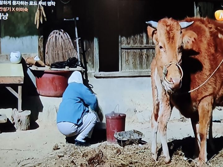 고래사냥 이미지