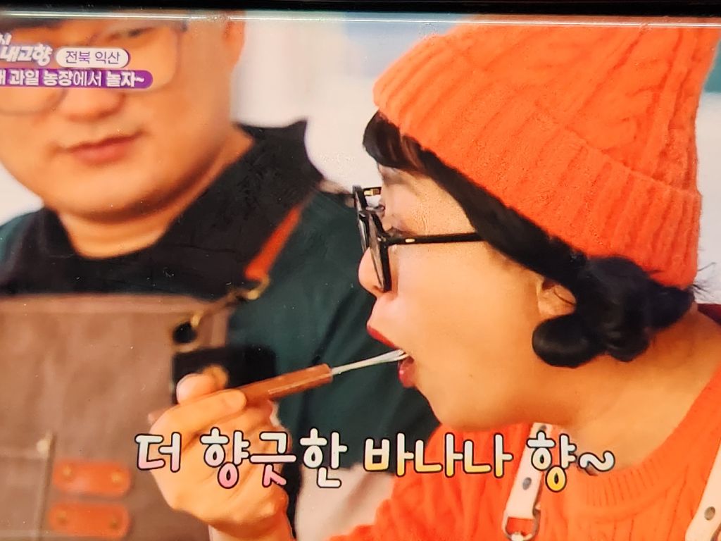 내고향과일 이미지
