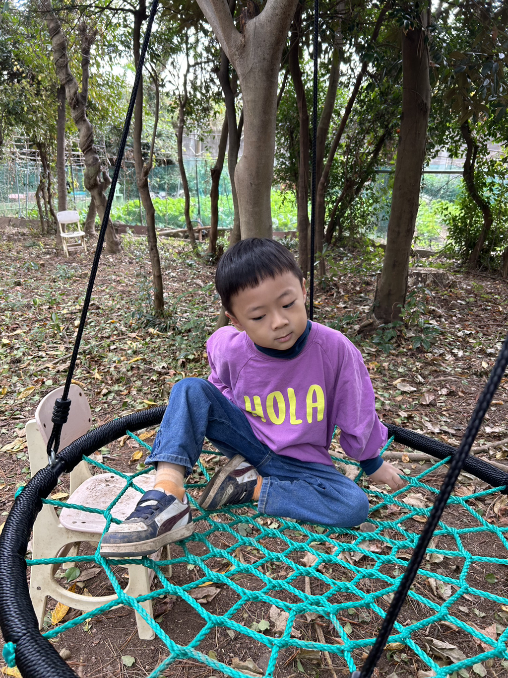 안트레 이미지