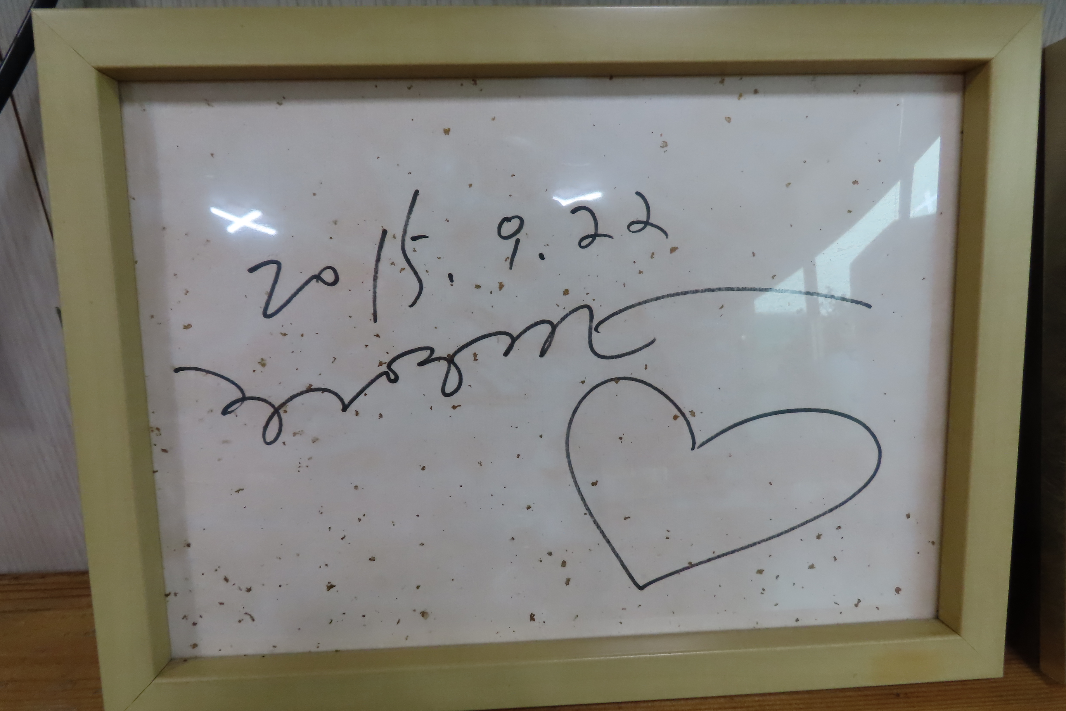 동백장어 이미지