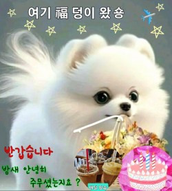 고기싸롱 이미지