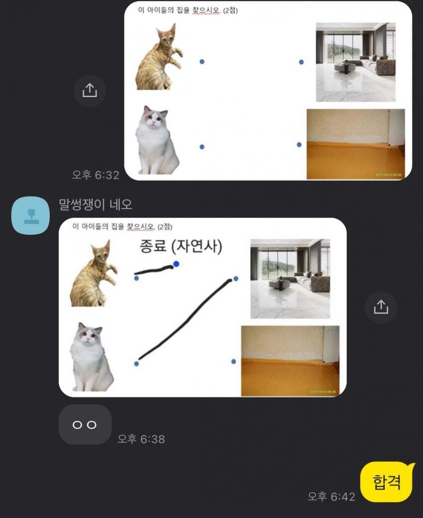 우문현답 이미지