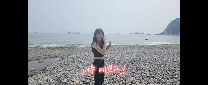 Daum 카페