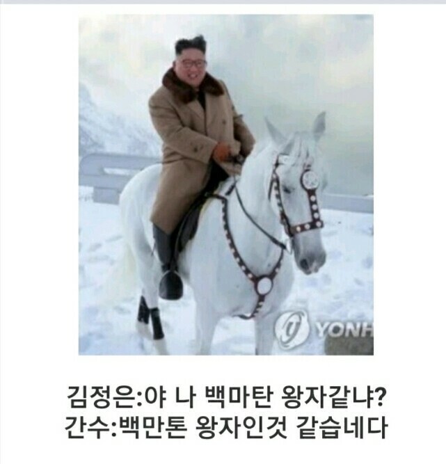 백마 이미지