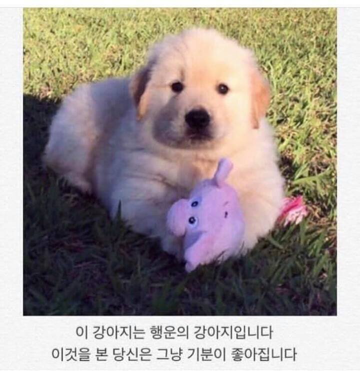 필살기 이미지
