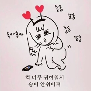 강아지 식사예절 | 인스티즈