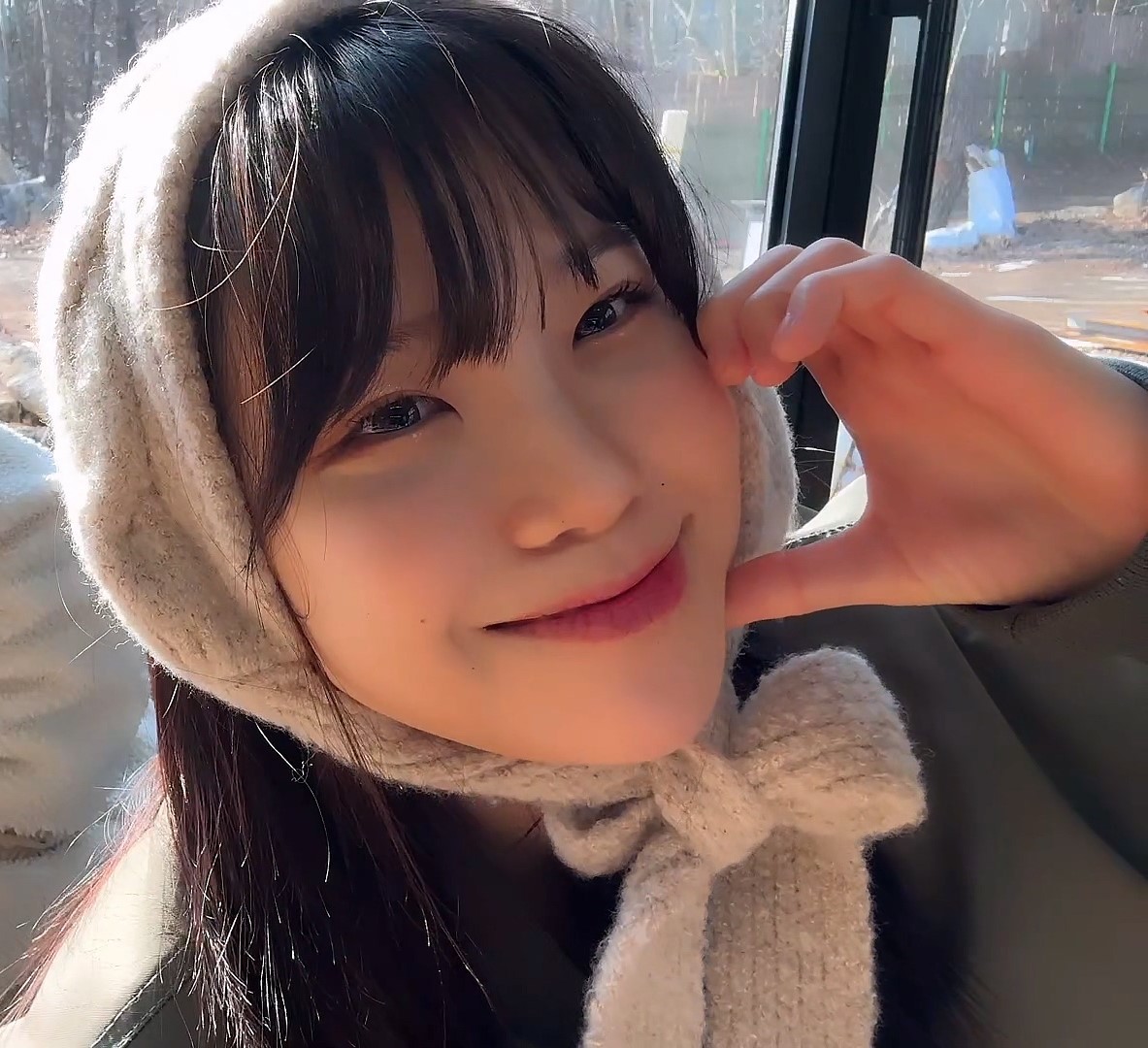 Daum 카페