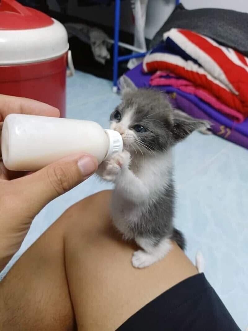 꼴깍 이미지