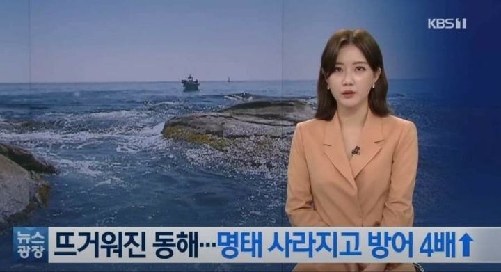 동해아 이미지