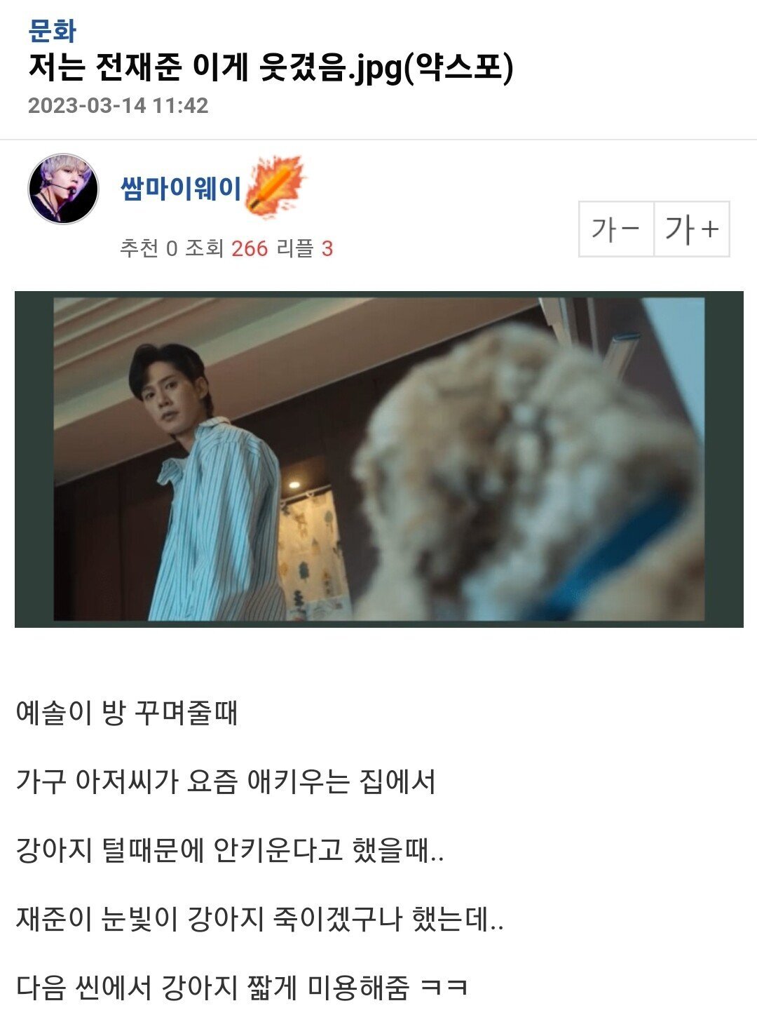 더스포 이미지