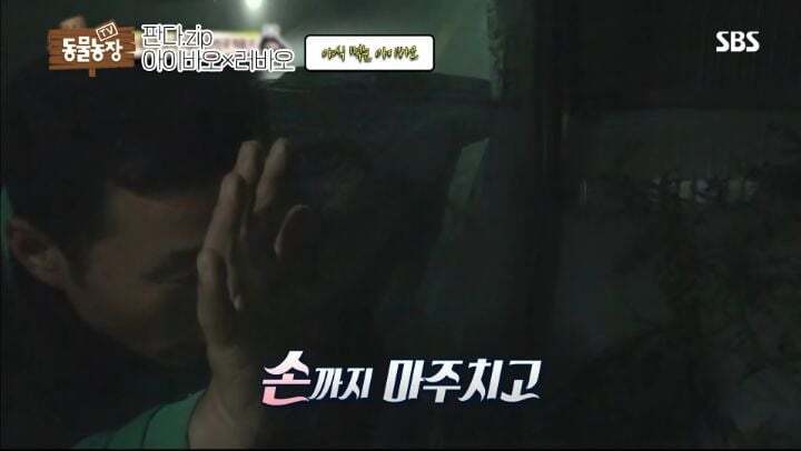 학대받던 아이바오(푸바오 엄마) 우리나라 사육사한테 마음을 열게 된 과정 | 인스티즈