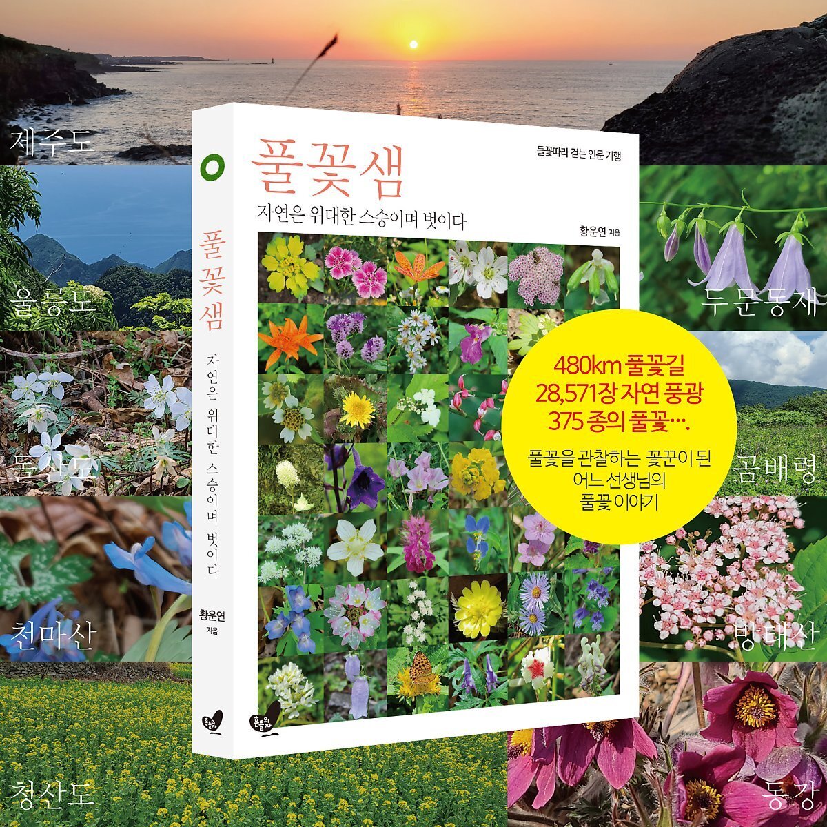 들꽃따라 이미지