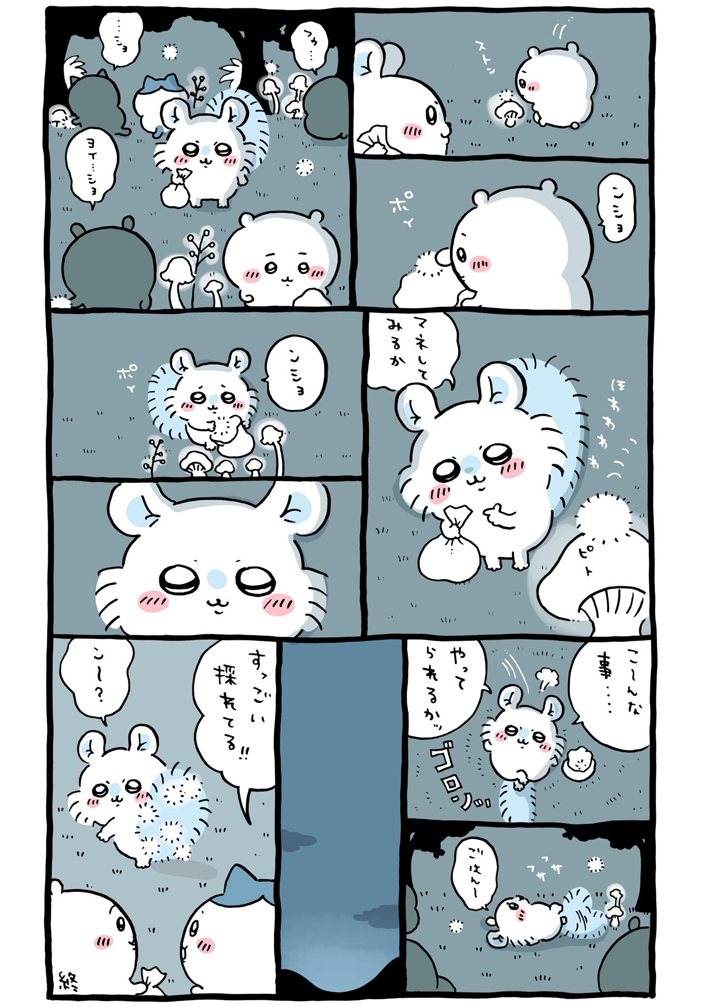모몽가 이미지