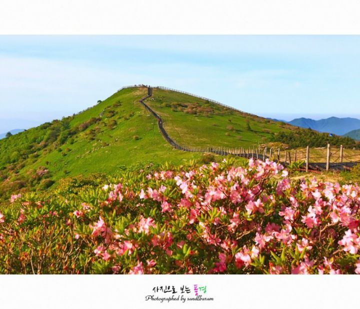 소백산주유소 이미지