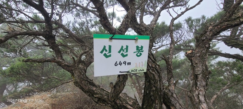 계룡산주유소 이미지