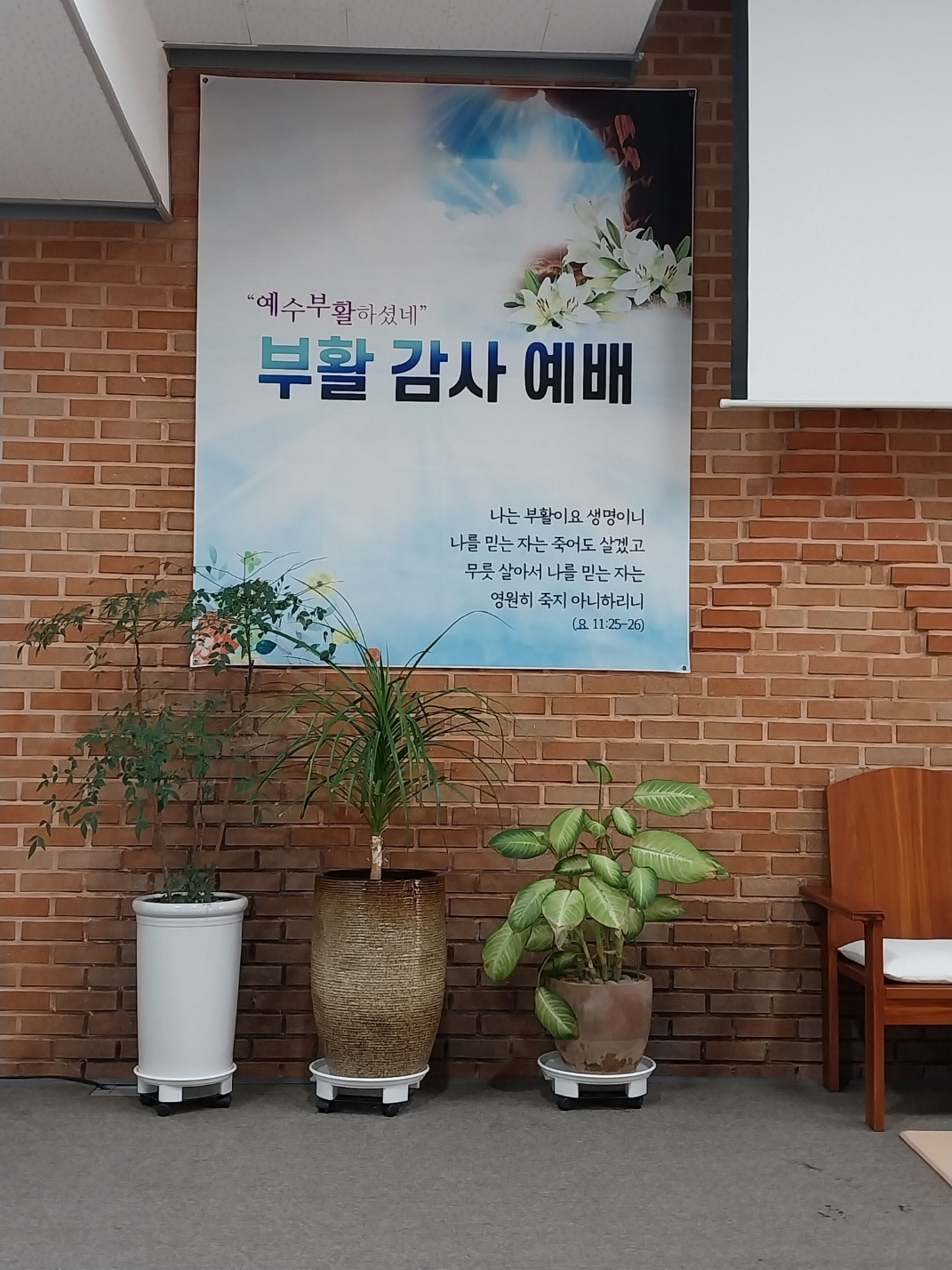 서분란 이미지
