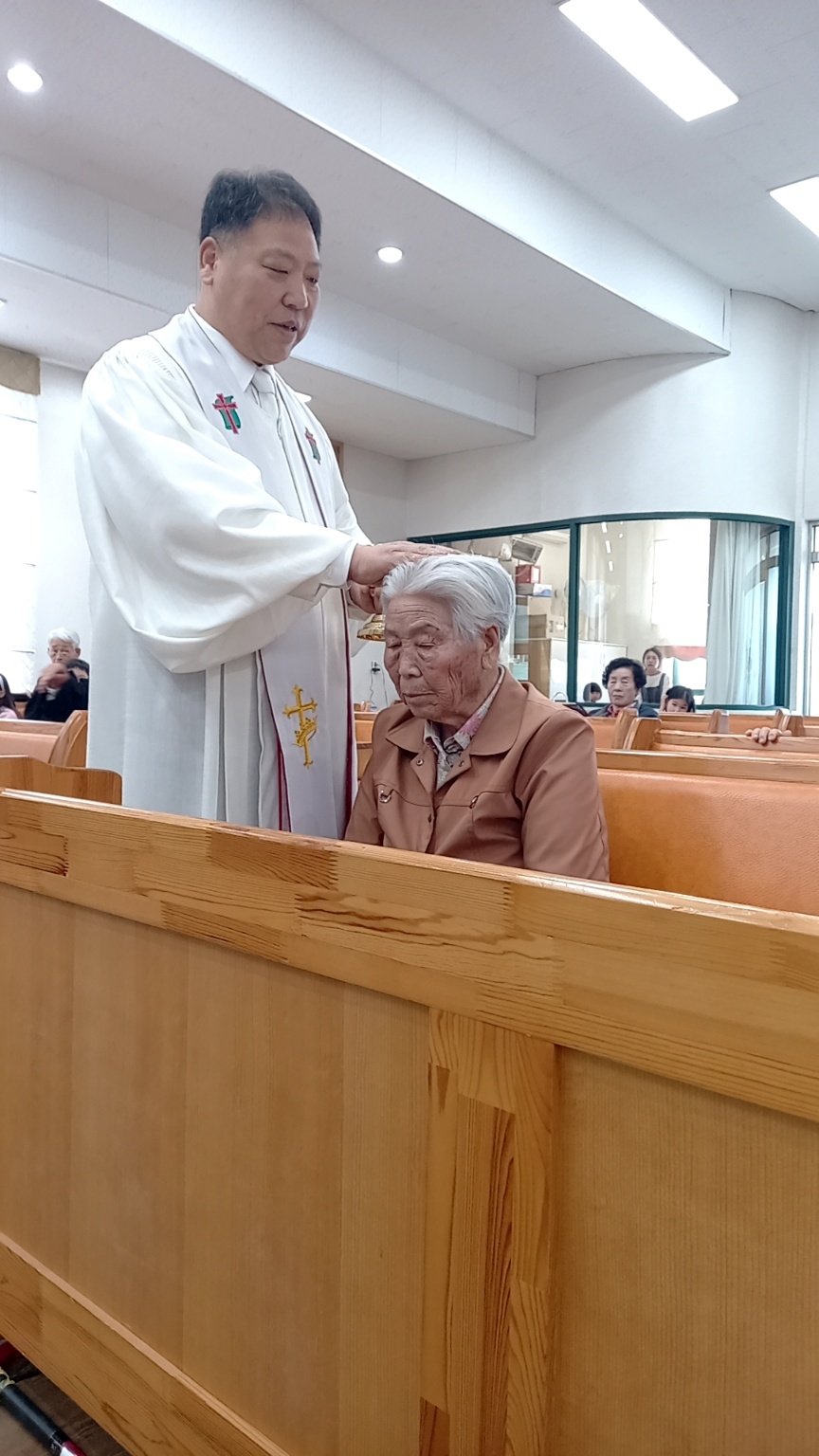 서분란 이미지