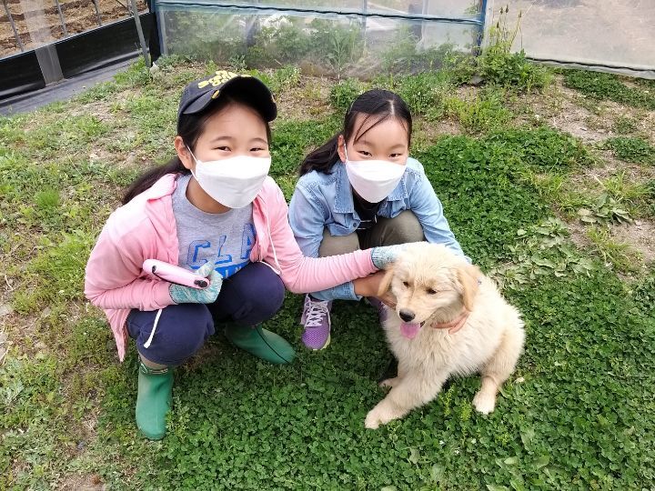 평화원 이미지