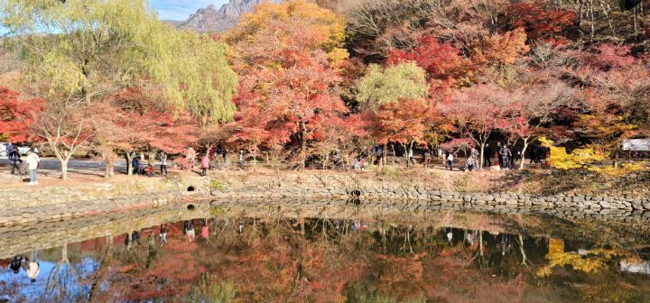 (주)다모인 이미지