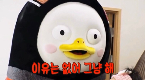 올라라 이미지