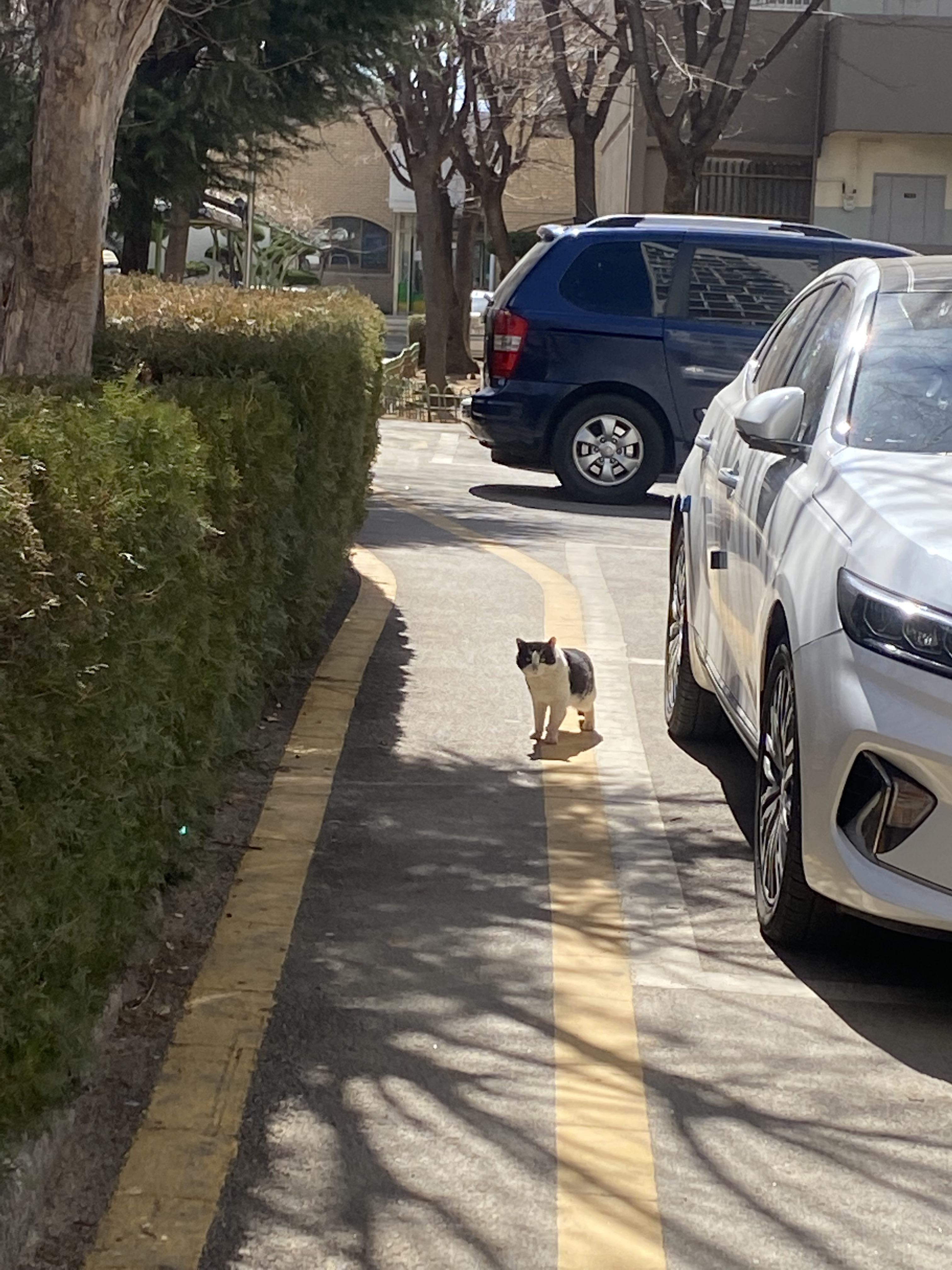 쏘스윗 이미지