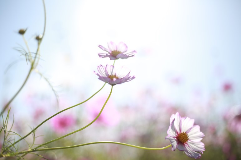 참좋은날 이미지